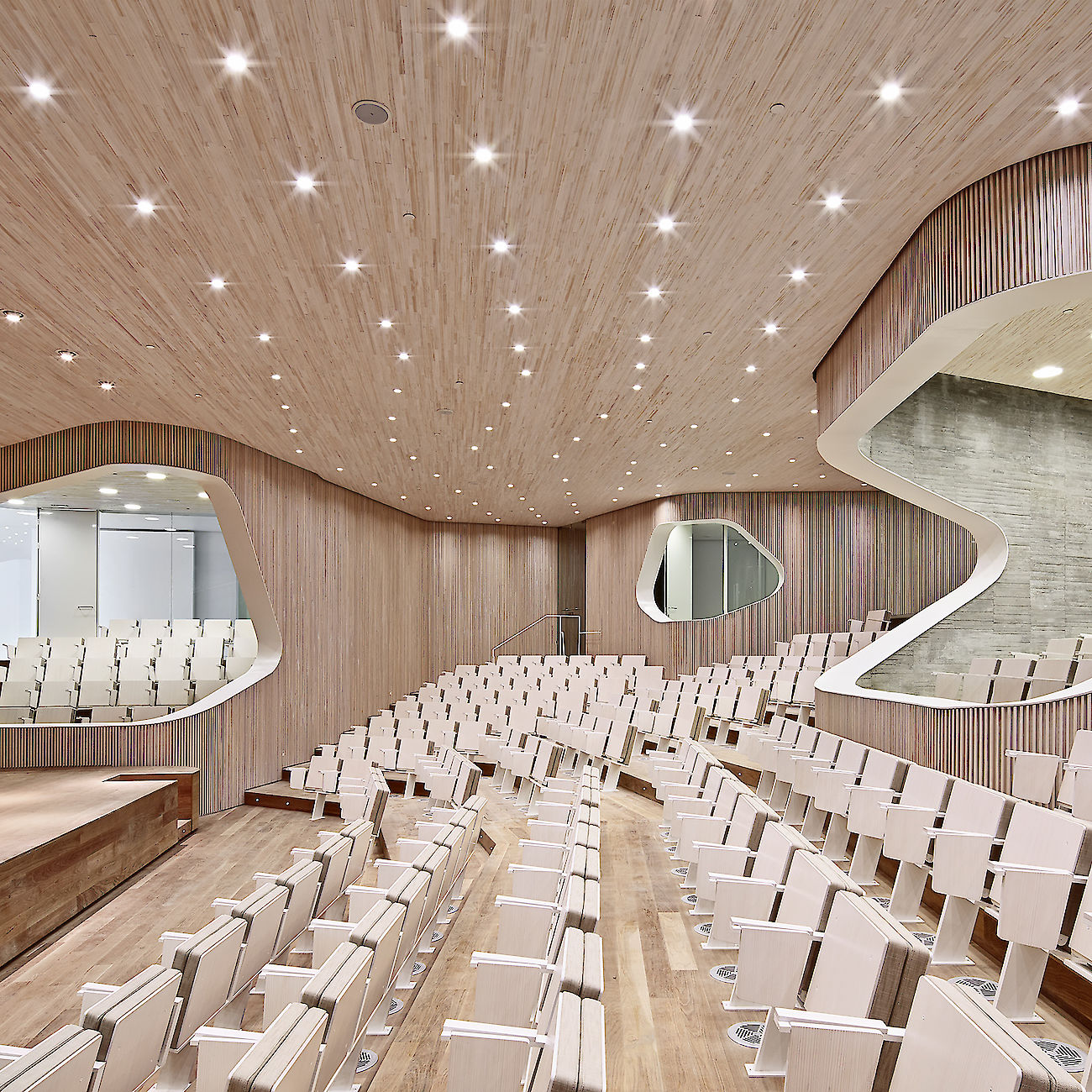 Francisco Giner de los Ríos Foundation by AMID.cero9. View of the auditorium